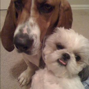 Meet your Posher, Laura